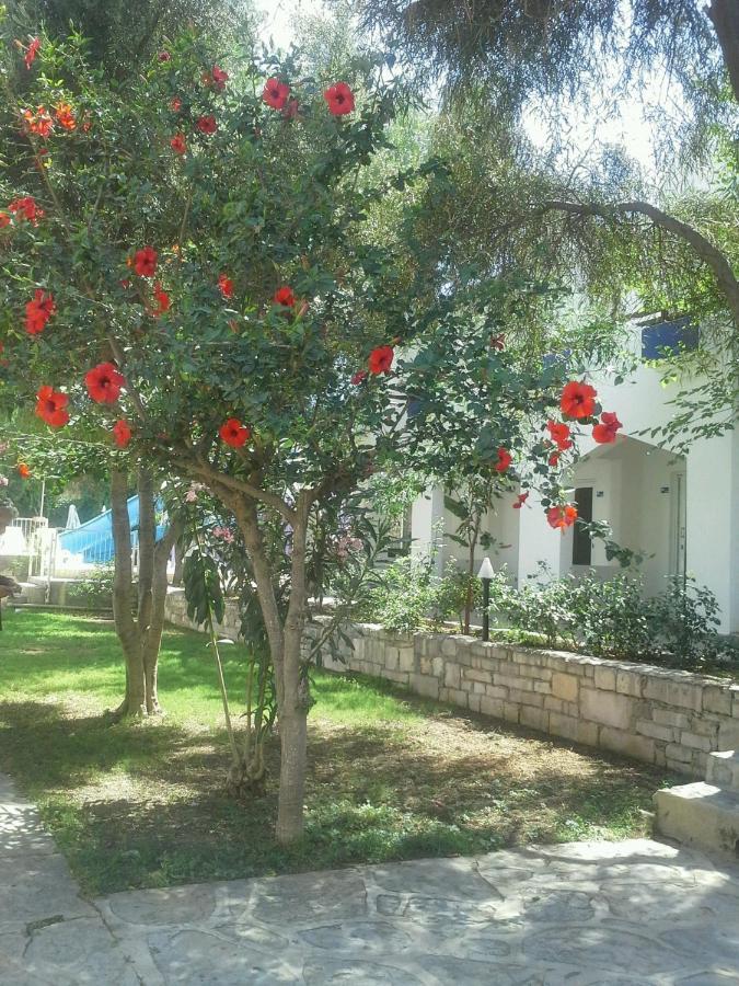 Tenda Hotel Bodrum Exteriér fotografie